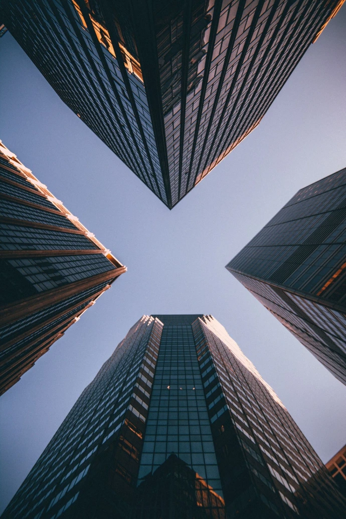 leadership development